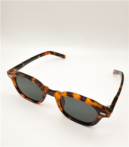 Γυαλιά κοκκάλινα Zion Tartarooga